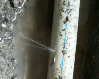 通许卫生间测漏水多少钱